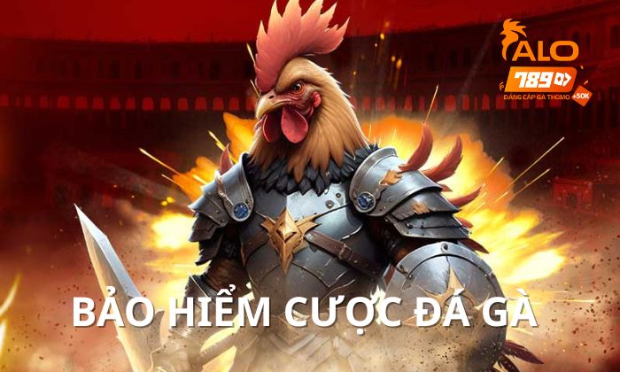Khuyến mãi Bảo Hiểm Cược Đá Gà ALO789 Khuyến mãi Bảo Hiểm Cược Đá Gà ALO789